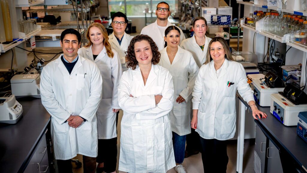 Lina Quesada-Ocampo Named Executive Director of the IR-4 Project - NC State University